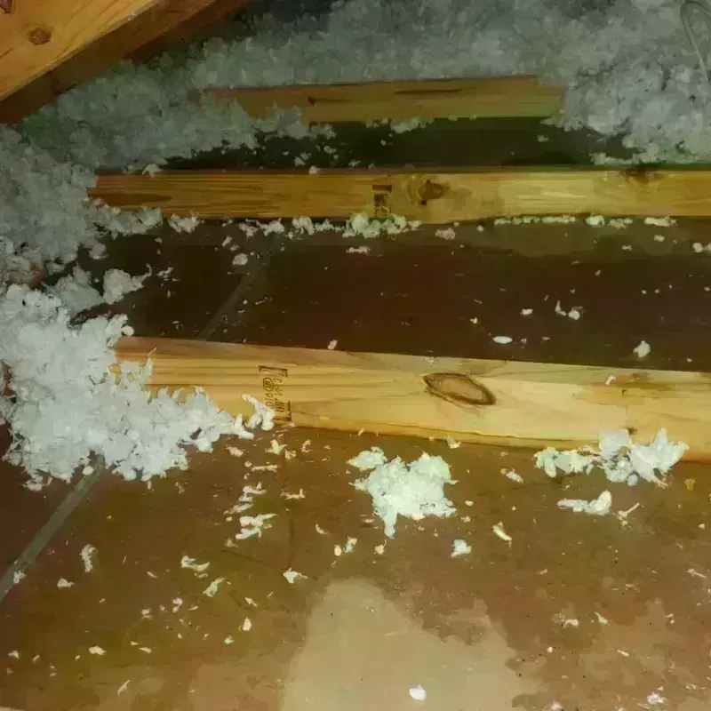 Attic Water Damage in Franklin, MA